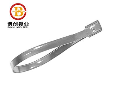 BC-S101 Consequential Number Embossed Metal Strap Seal,Metal Strap Cable Tie