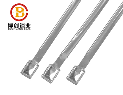 Metal Strap Seal 