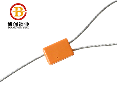 cable seal 