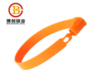 Hot sale fixed length plastic security seals BC-P601