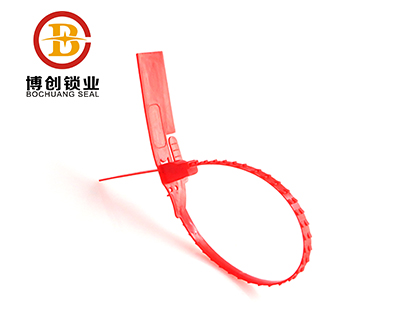 plastic lock seal 