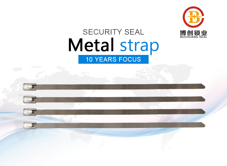 Metal Strap Seal show