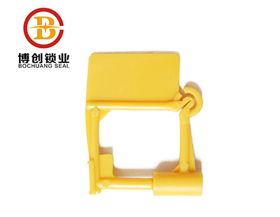 Padlock seal 