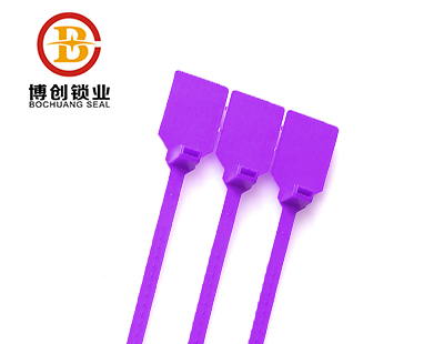  plastic lock seal