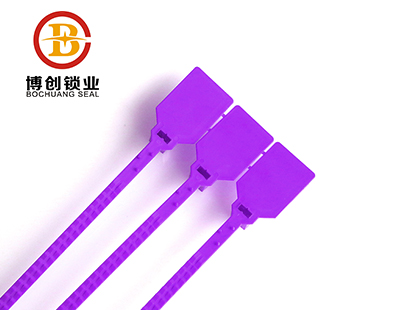 Plastic seals lock