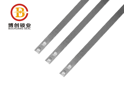 High Quality And Inexpensive self locking metal strap seal 