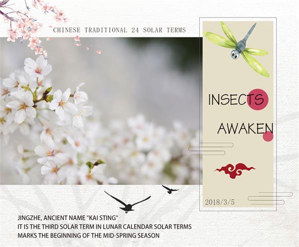 The Waking of Insects
