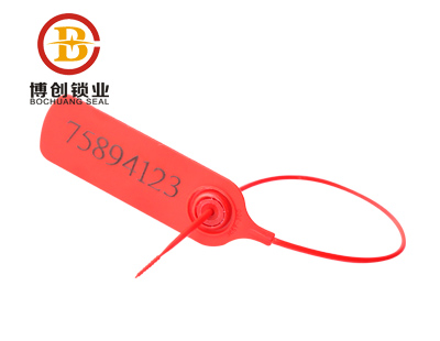 Disposable self locking plastic seal en francais