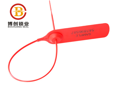Disposable self locking plastic seal en francais