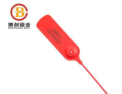 Disposable self locking plastic seal en francais