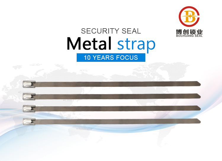  metal strap seal BC-S105
